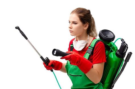 Termite treatment and prevention